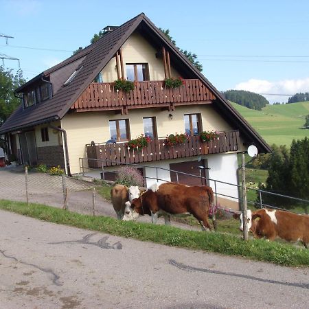 Duerrenbartleshof Apartment Breitnau Luaran gambar