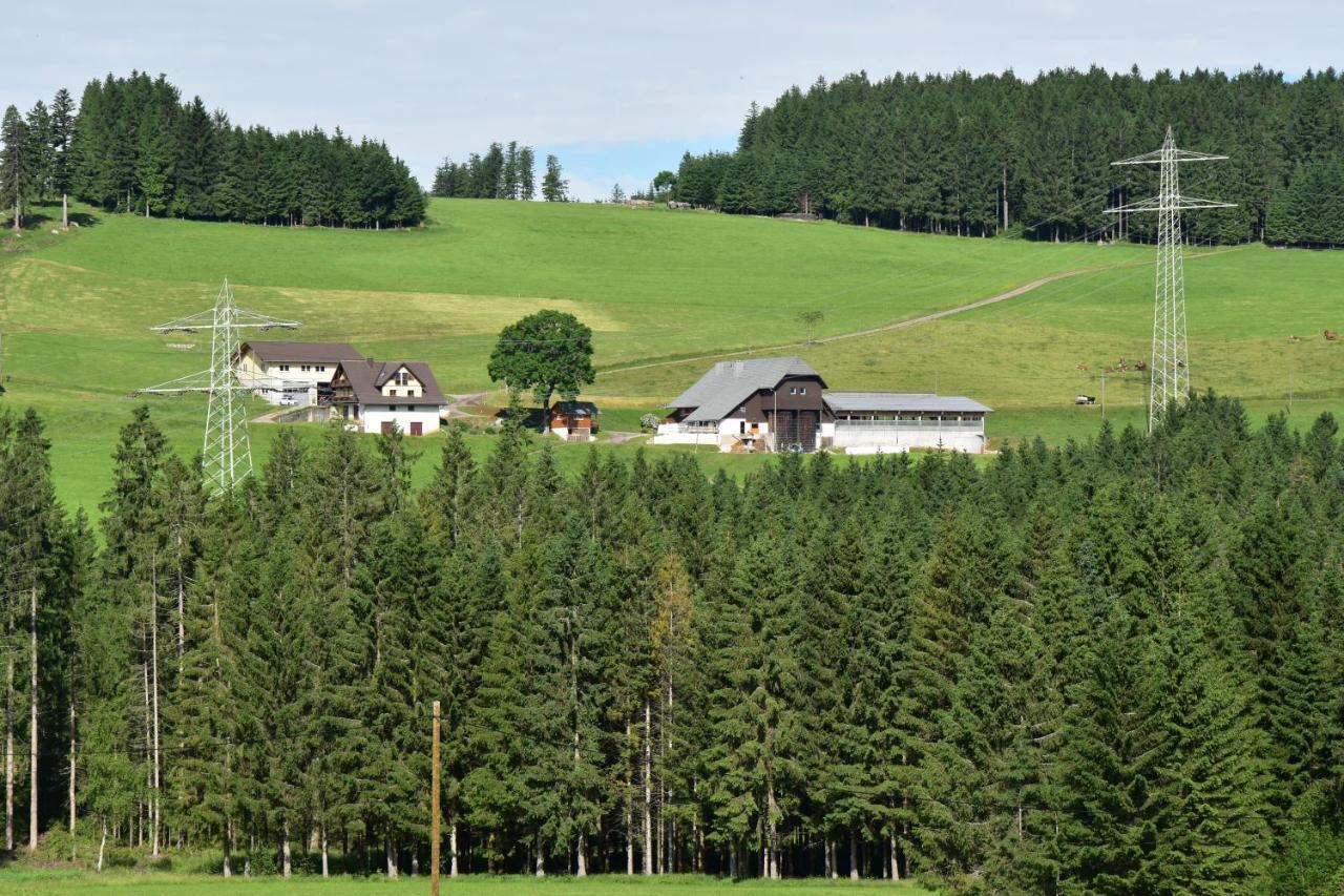 Duerrenbartleshof Apartment Breitnau Luaran gambar